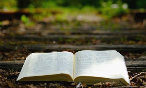 bible, god's words, nature
